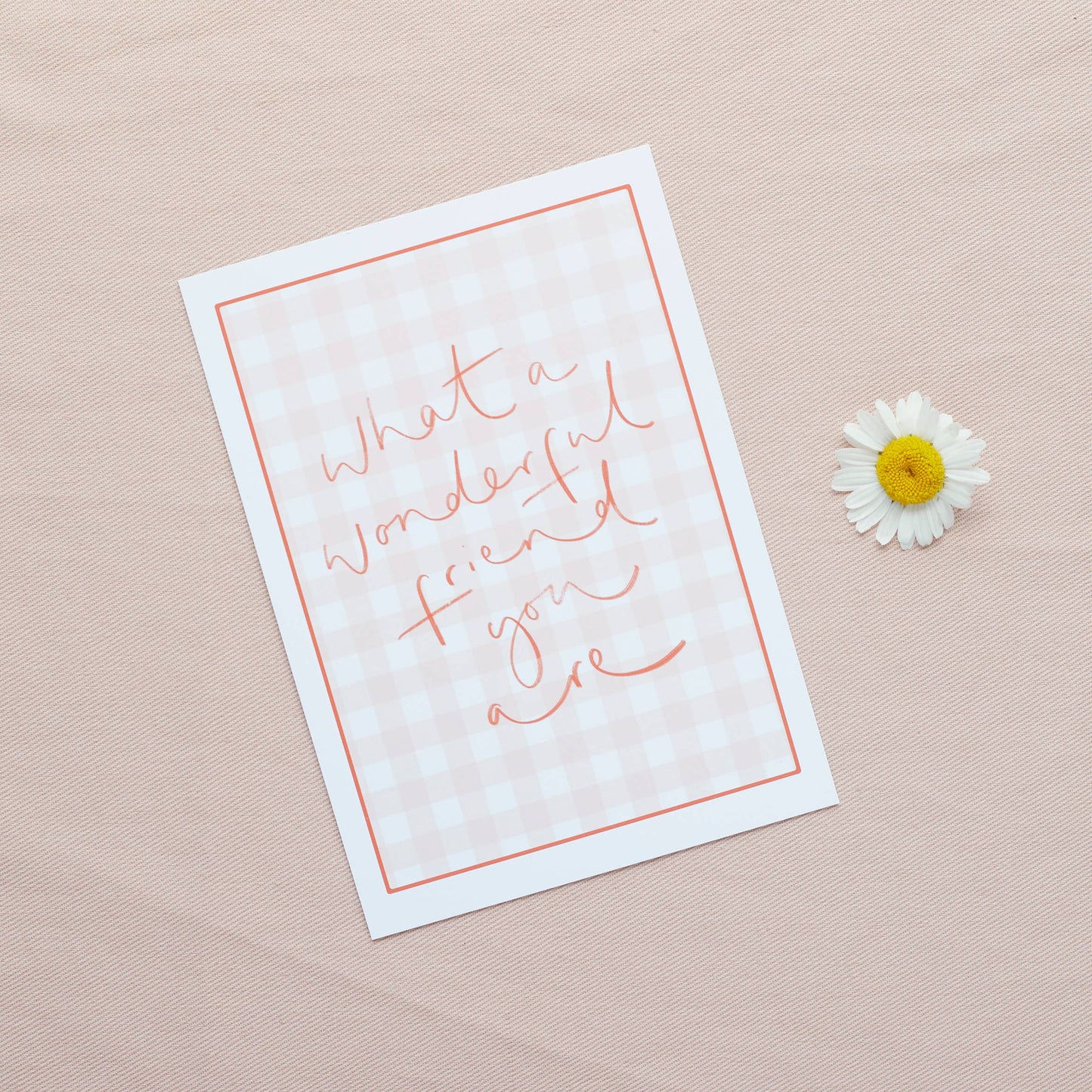 Oh Squirrel - 'What a wonderful friend you are' Gingham Postcard