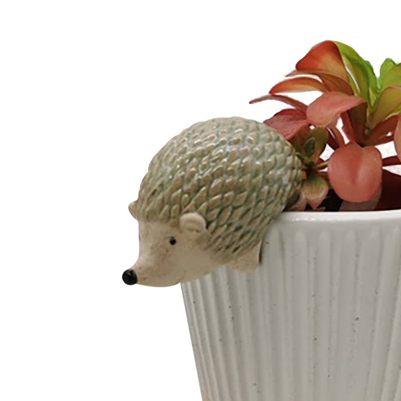 Heaven Sends - Hedgehog Pot Hanger Plant & Pot Not Inc