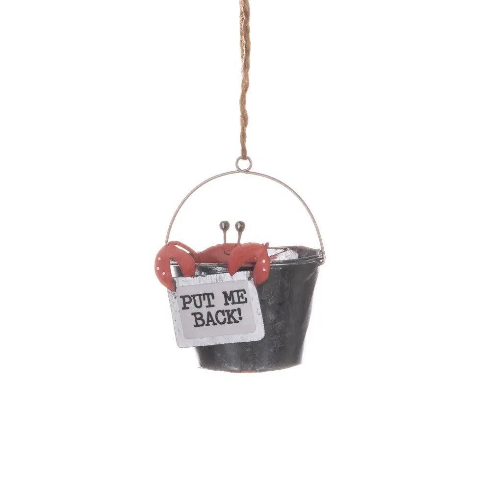 Put Me Back ! Hanging decoration by Shoeless Joe