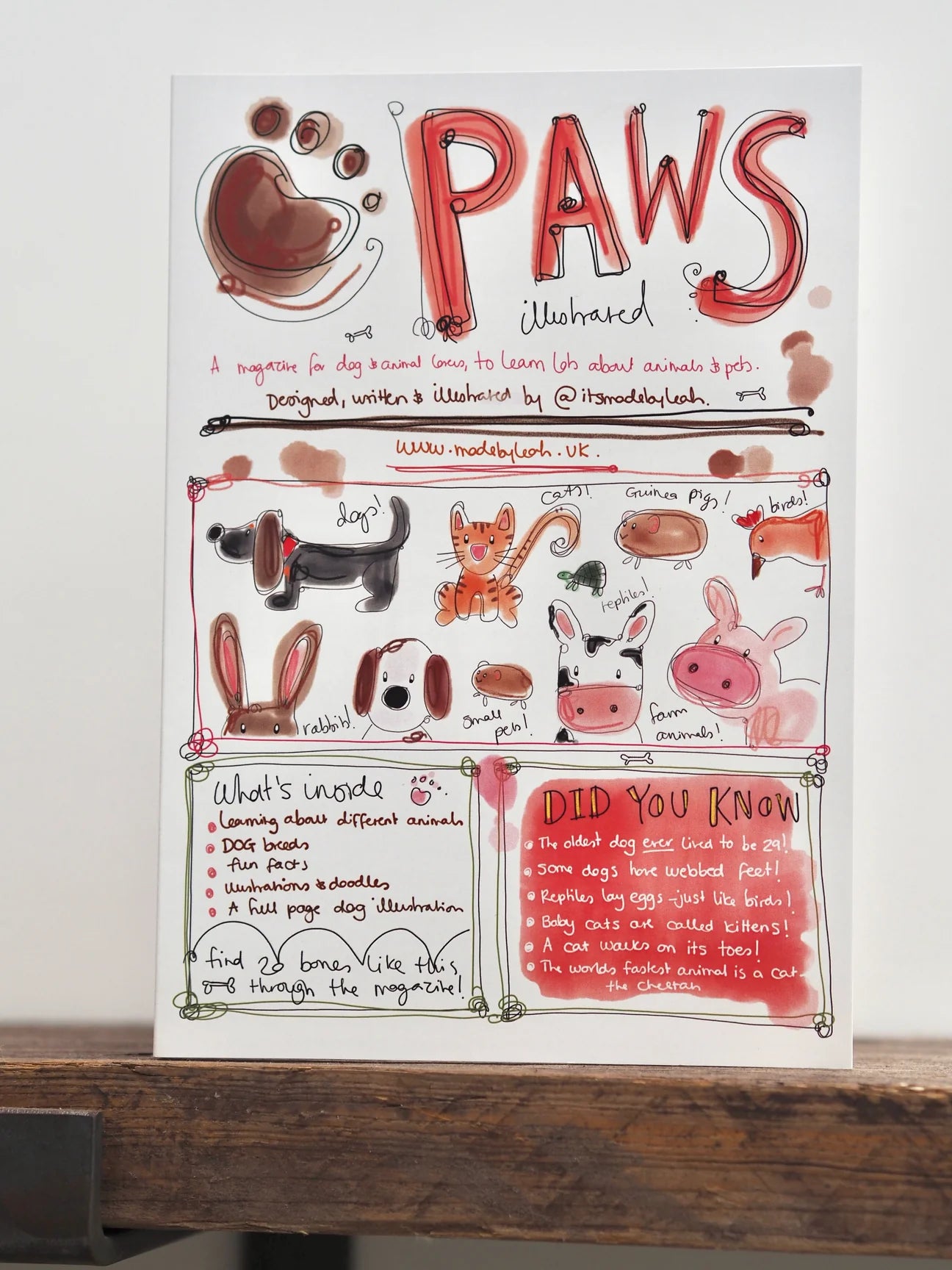 Paws Animal Magazine from Made by Leah