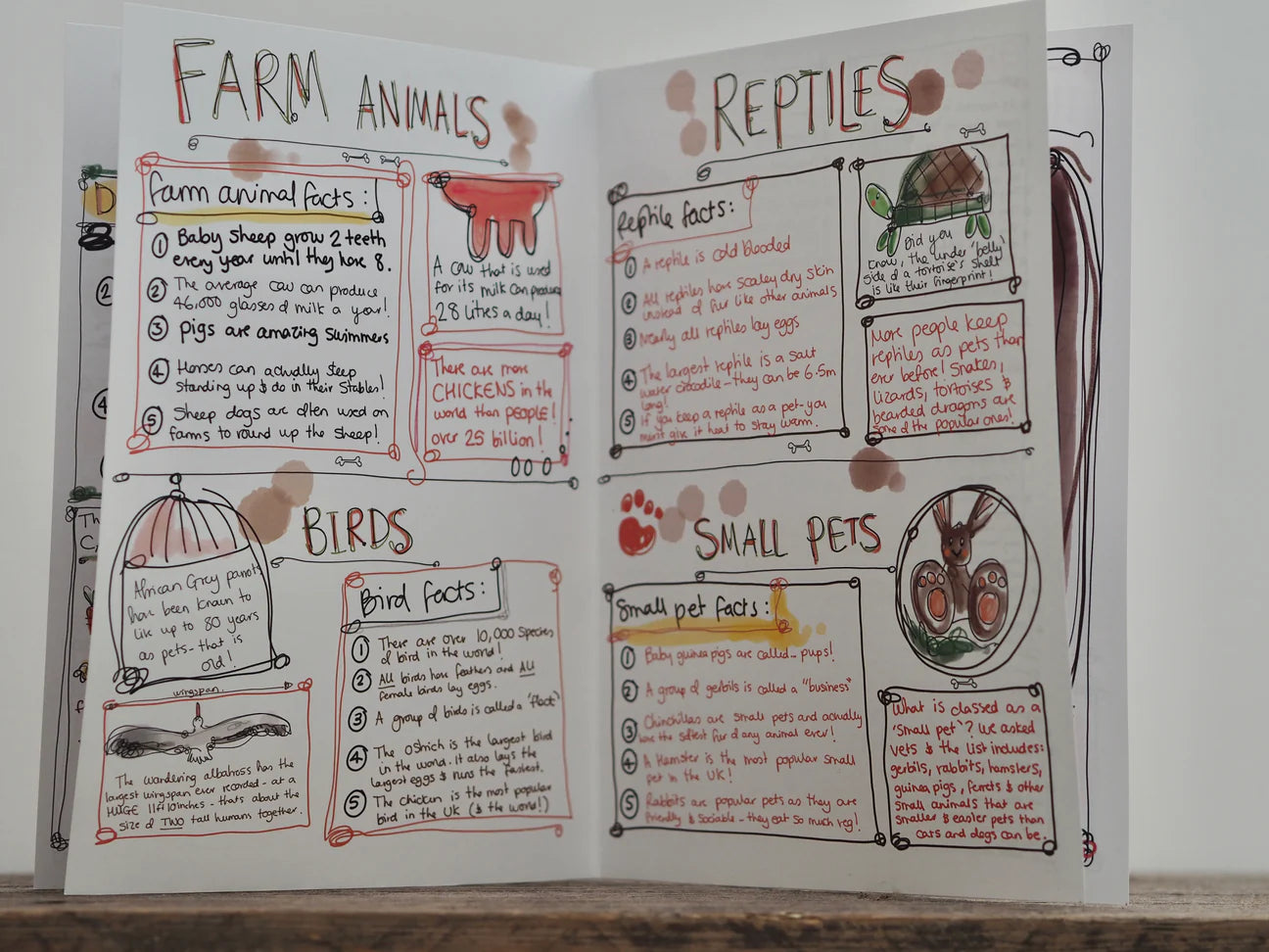 Paws Animal Magazine from Made by Leah