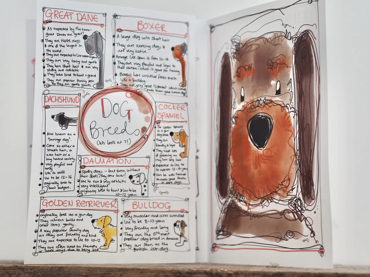 Paws Animal Magazine from Made by Leah