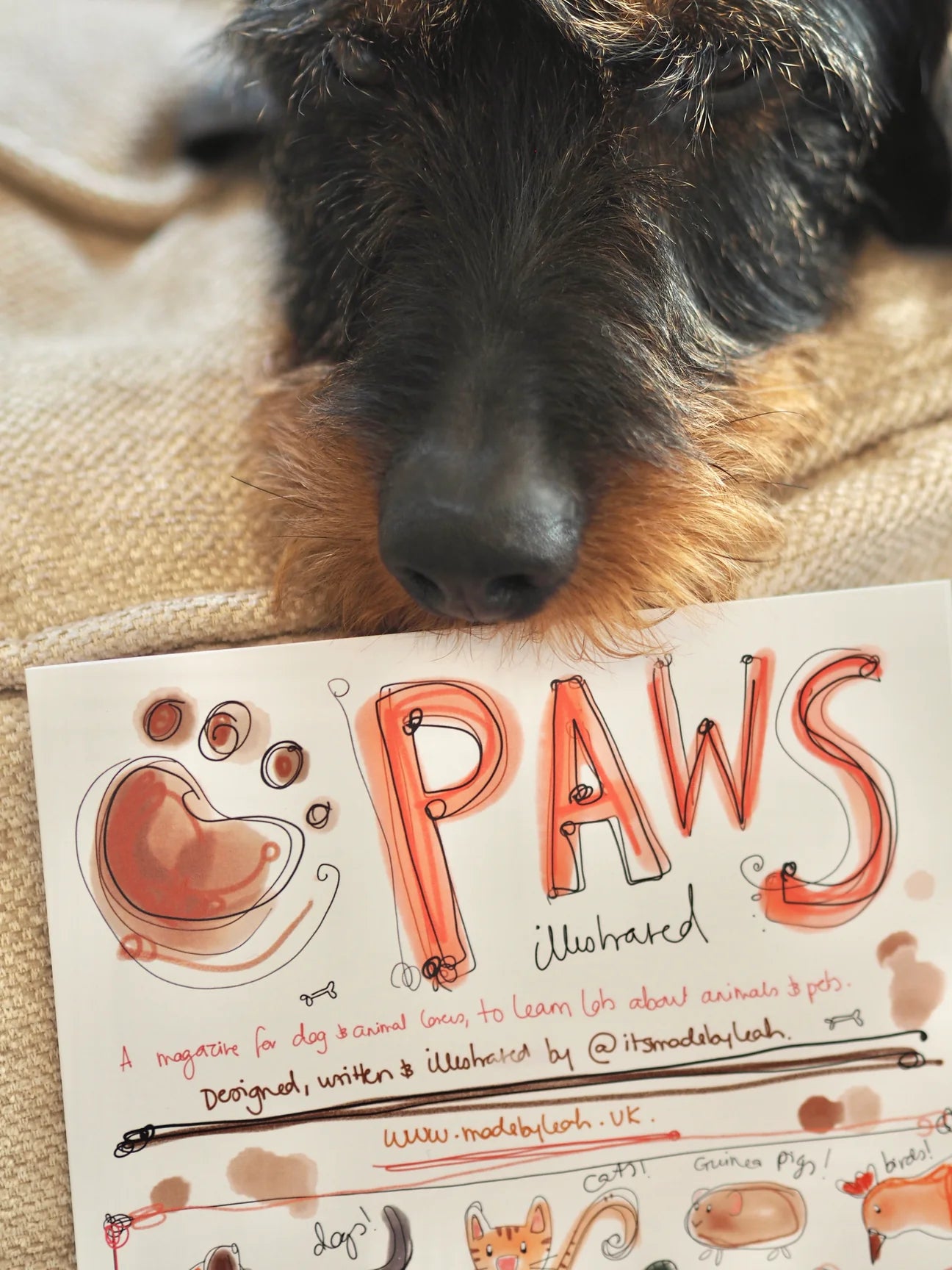 Paws Animal Magazine from Made by Leah