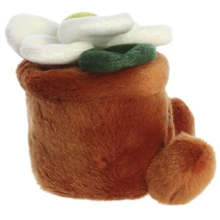 Junie Daisy Palm Palm ,5In