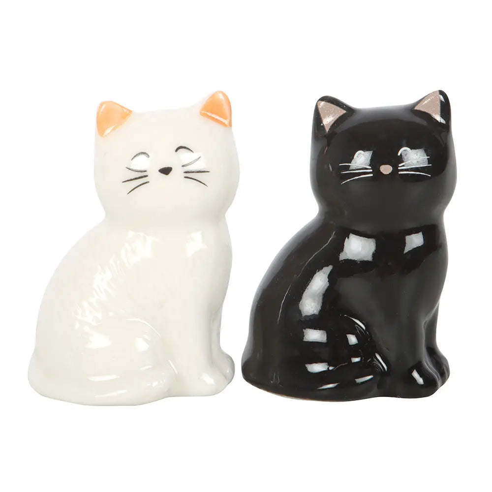 Lucky white or black cat gift box.