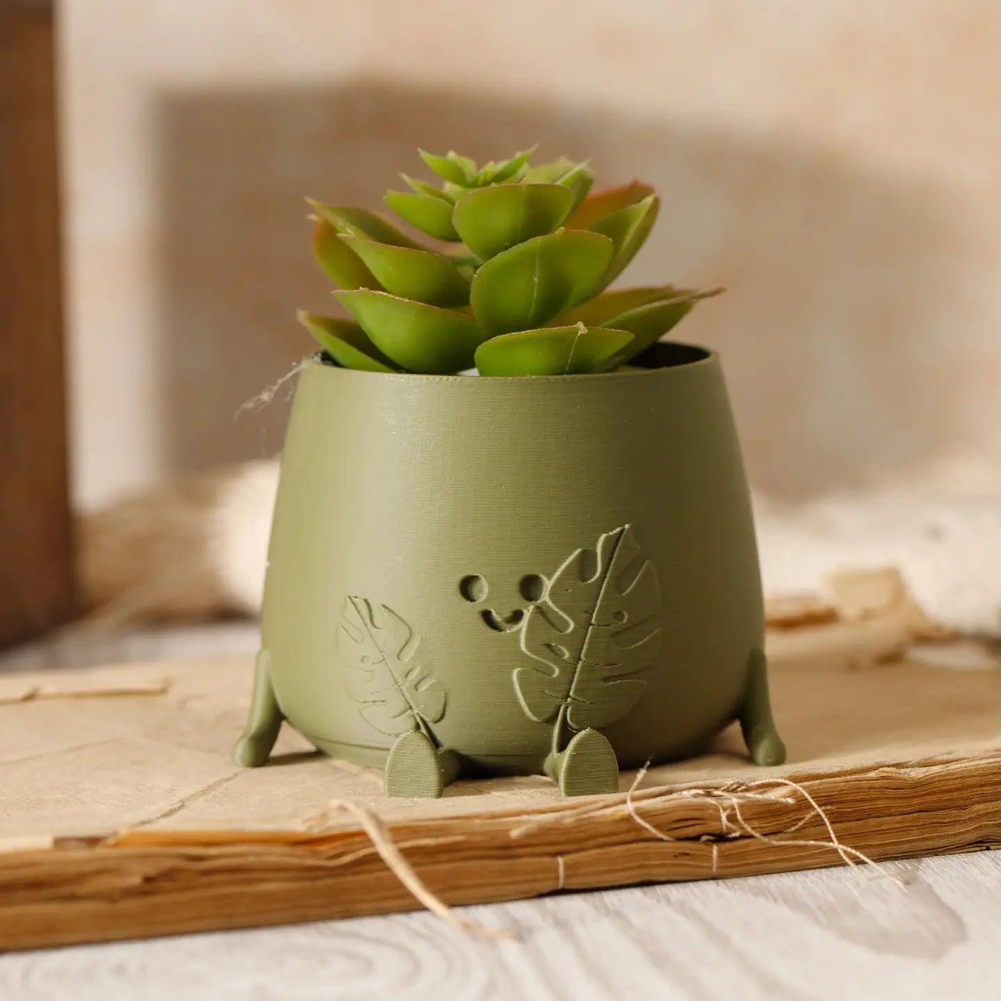 Happy Pot Planter - Monstera Leaf Face