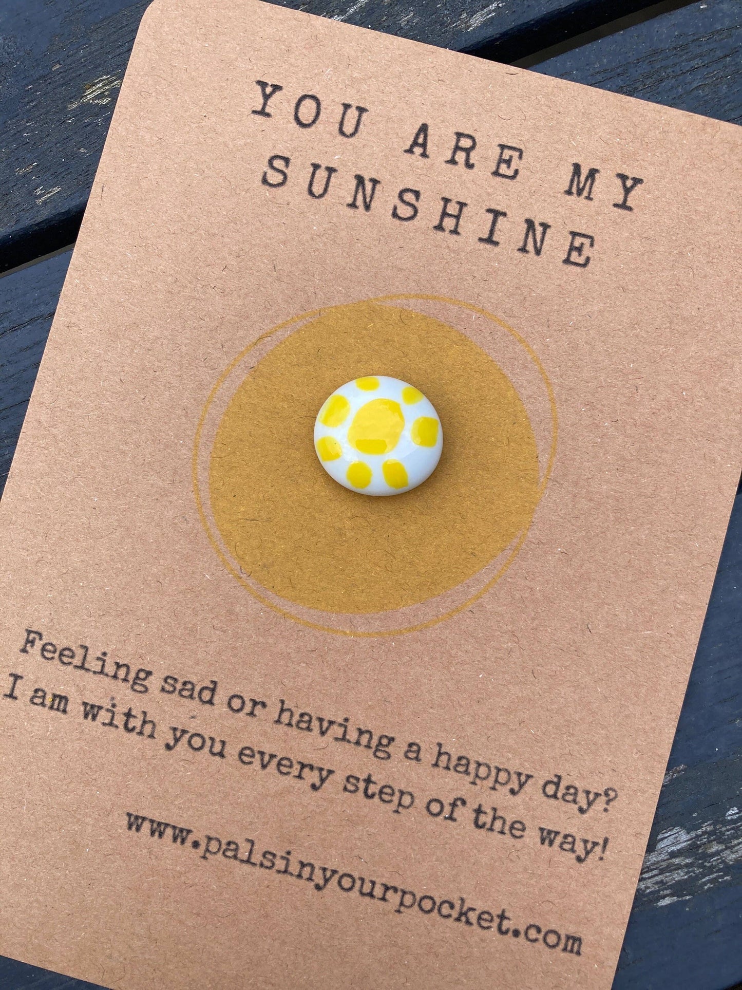 Pals in your Pocket - Pebble With Sunshine & Song Lyrics Pocket Hug
