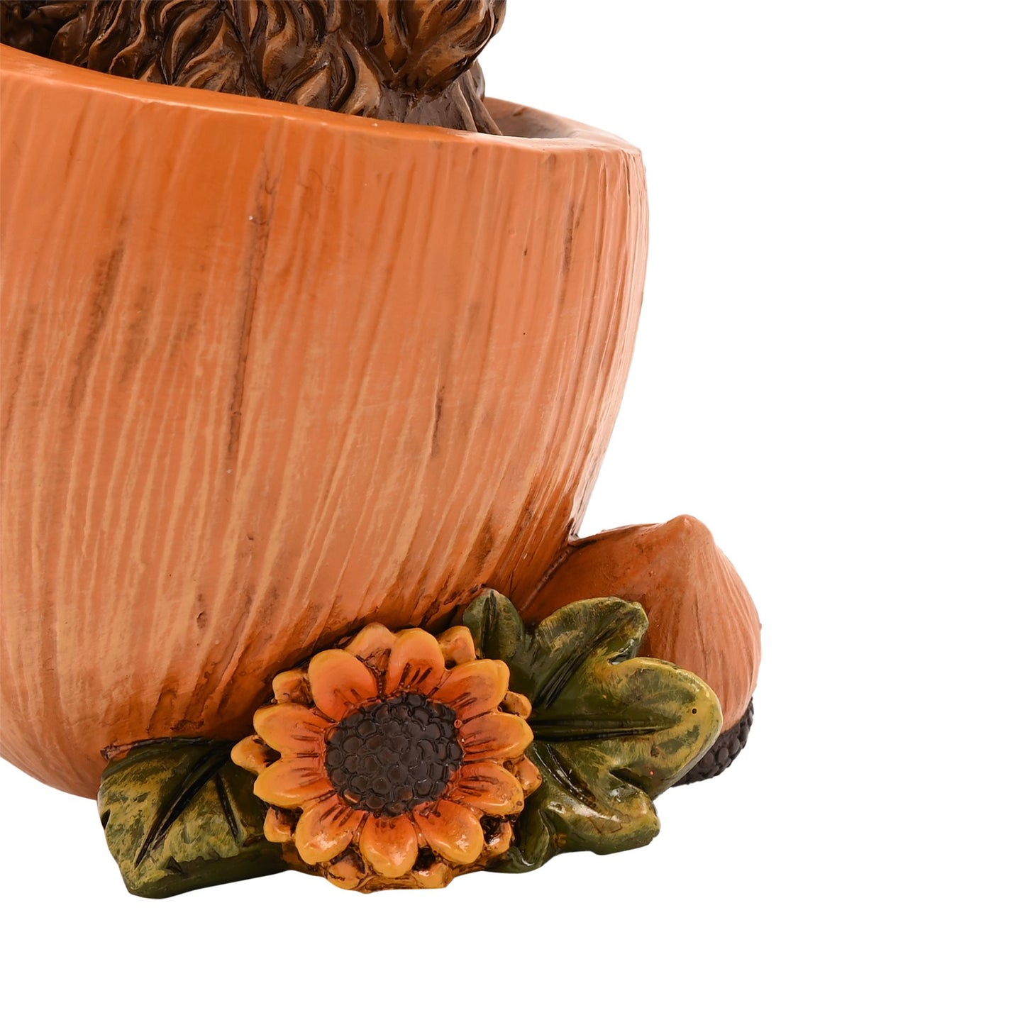 Highland cows in pumpkin set.