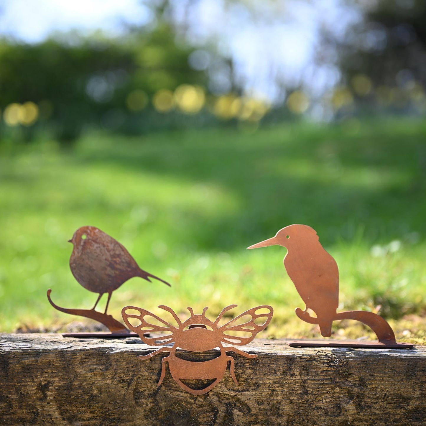NATURE SILHOUETTE ROBIN ON BRANCH