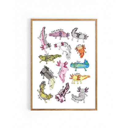 Nova & Me - Axolotls A4 Print