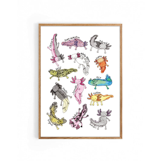 Nova & Me - Axolotls A4 Print