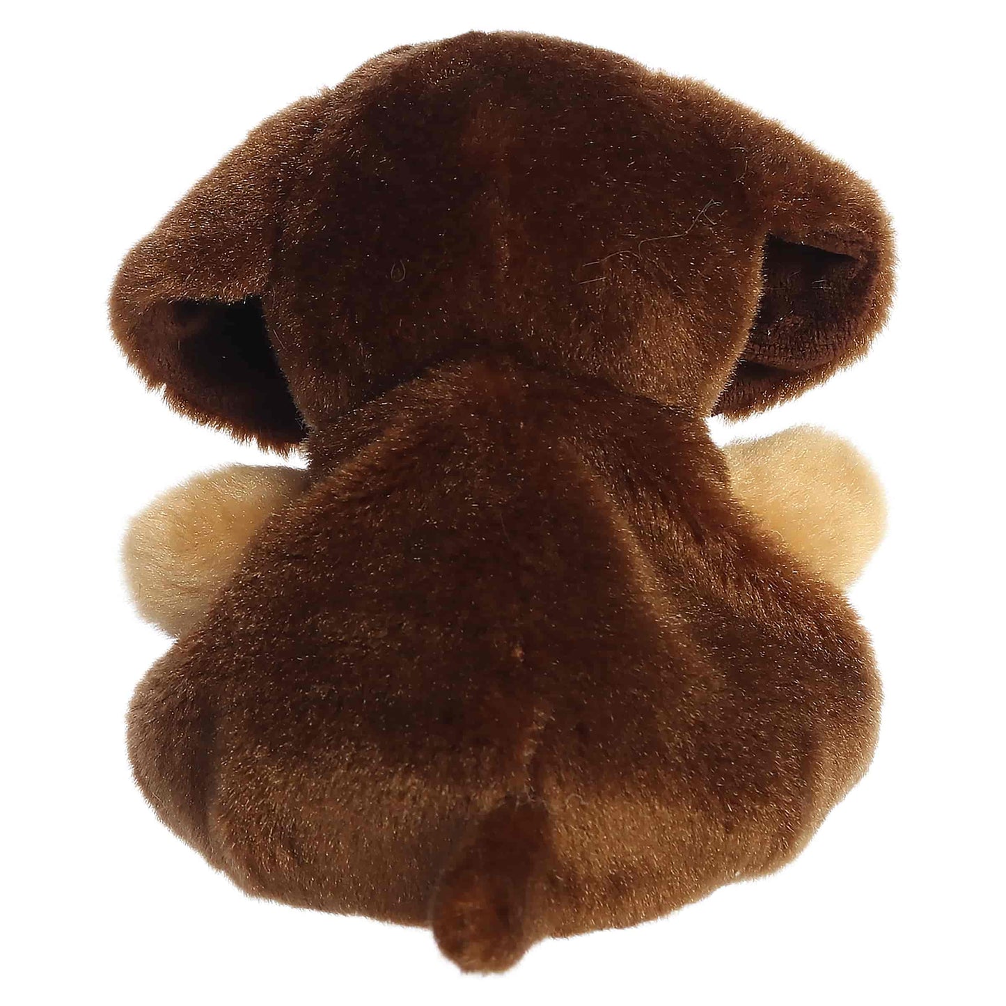 Kelley and Company - 5" Plush Houdini Dachshund Palm Pal