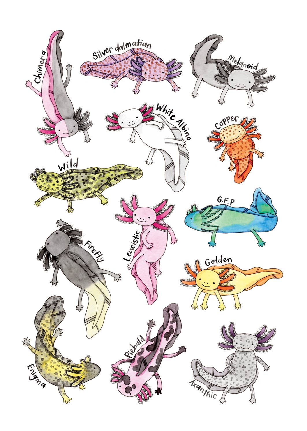 Nova & Me - Axolotls A4 Print