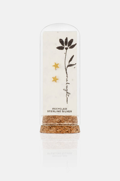 One & Eight - Seed Card Studs