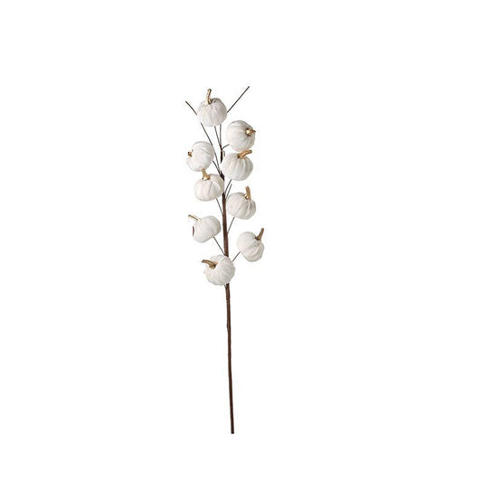 Heaven Sends - WHITE VELVET PUMPKIN STEM