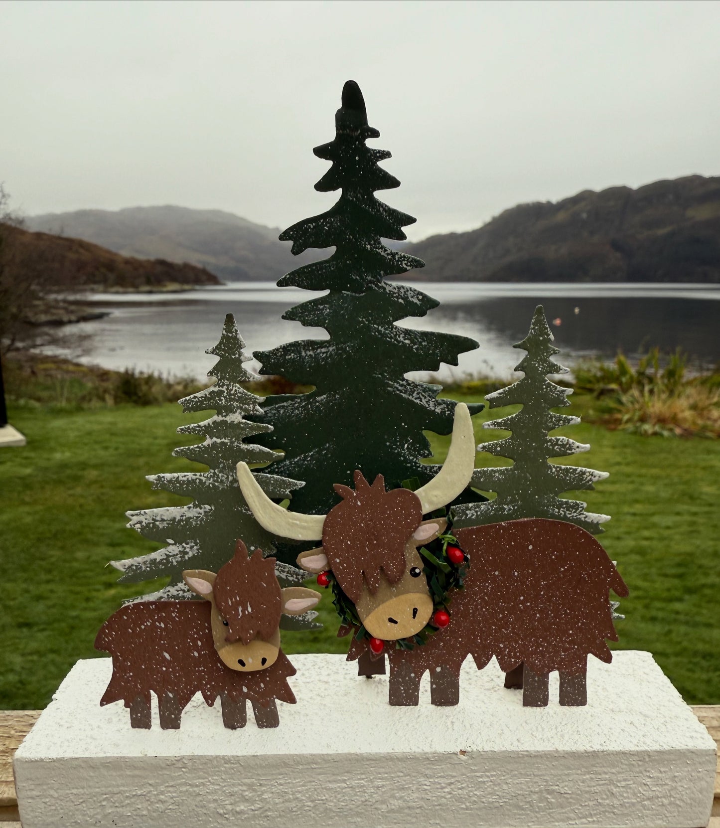 Winter highland Coo Scene