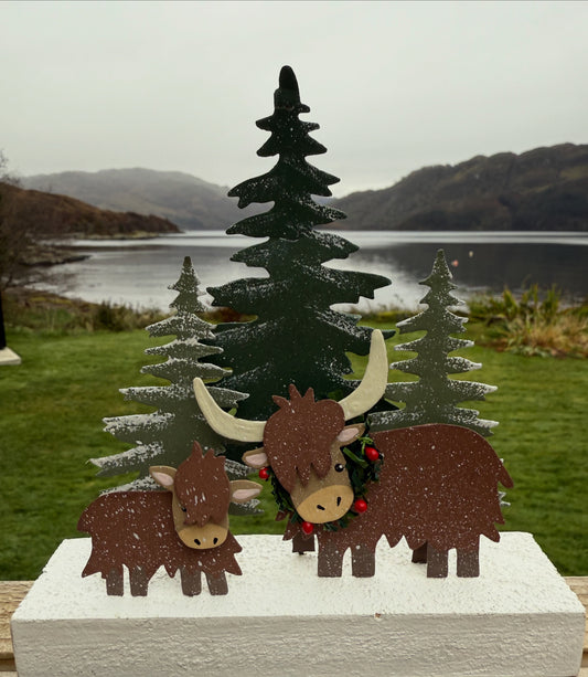 Winter highland Coo Scene