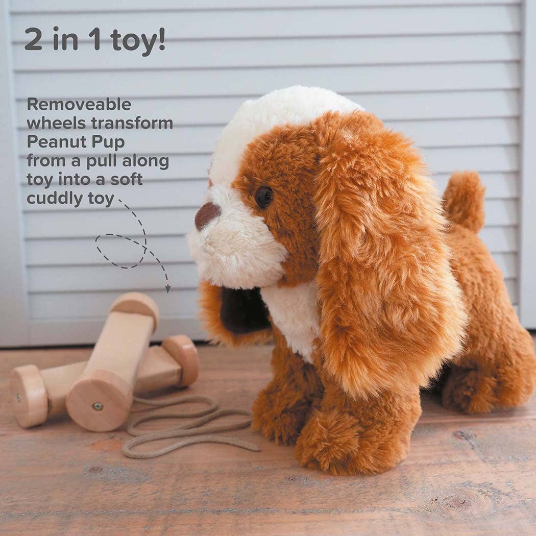 Little Bird Told Me Uk - Peanut Pup Pull Along Toy