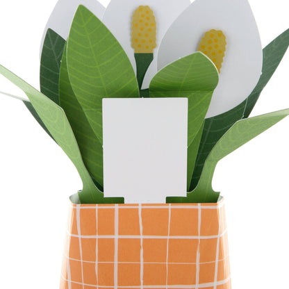 Hallmark - Pop-up Plant Card - Peace Lily Design