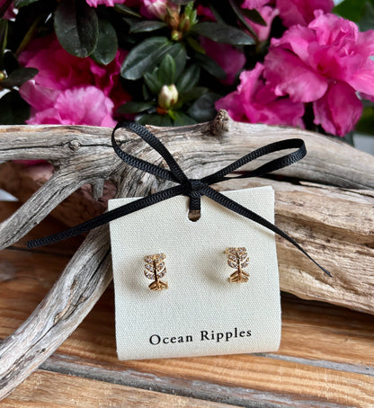 Ocean Ripples - 14ct Gold Plated Cubic Zirconia Leaf Earrings