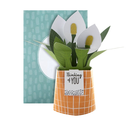 Hallmark - Pop-up Plant Card - Peace Lily Design