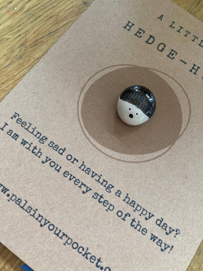Pals in your Pocket - Hedgehog Anxiety Relief Pocket Pebble For Animal Lovers