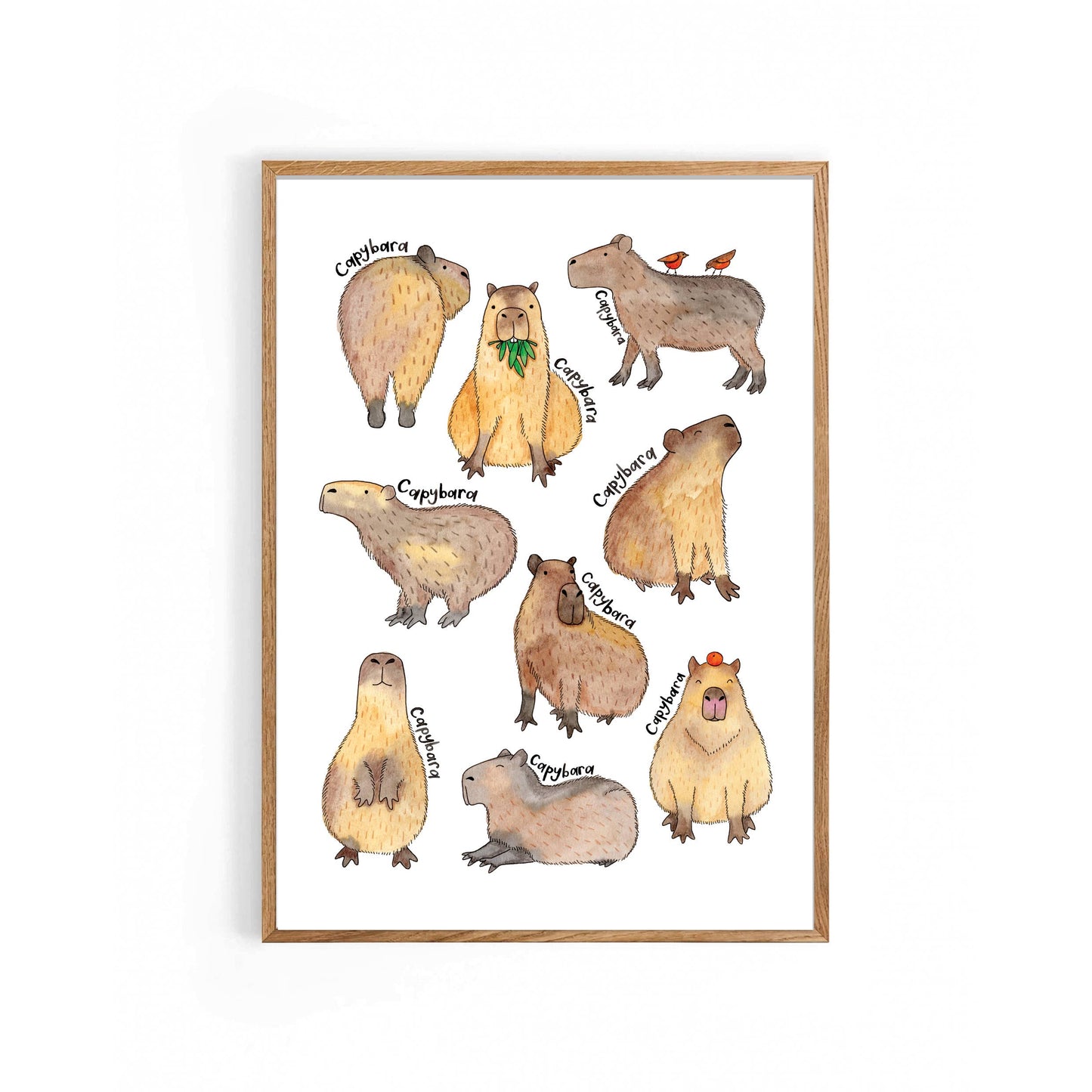 Nova & Me - Capybara A4 Print