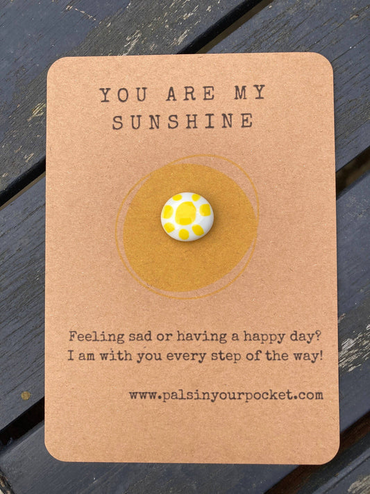 Pals in your Pocket - Pebble With Sunshine & Song Lyrics Pocket Hug