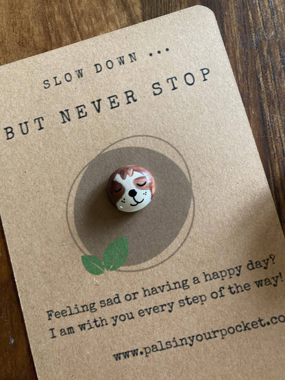 Pals in your Pocket - Sloth Worry Rock Pet Pebble With Charm And Quote Card