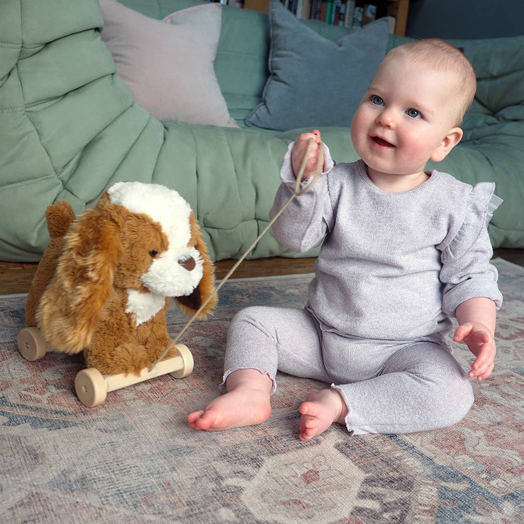 Little Bird Told Me Uk - Peanut Pup Pull Along Toy