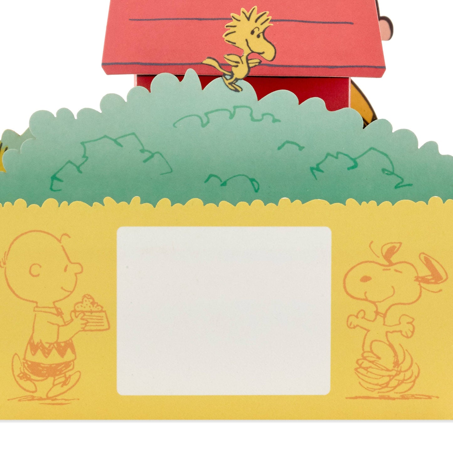 Hallmark - PEANUTS™️ Paper Wonder Collection 3D Pop-Up Birthday Card