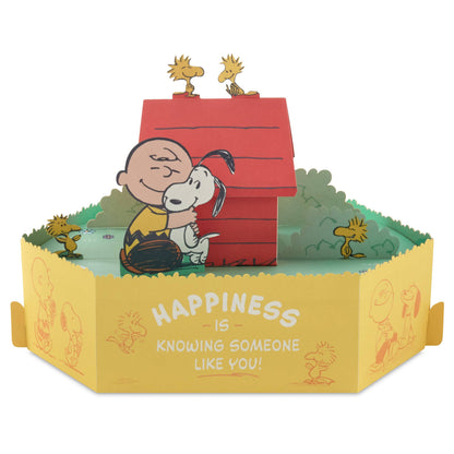 Hallmark - PEANUTS™️ Paper Wonder Collection 3D Pop-Up Birthday Card