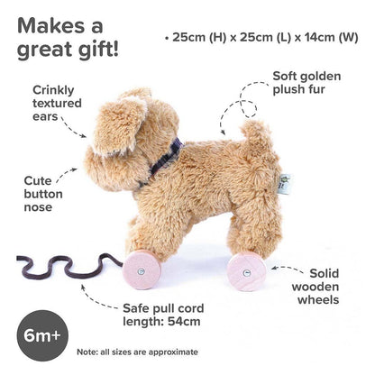 Little Bird Told Me Uk - Dexter Dog Pull Along Toy