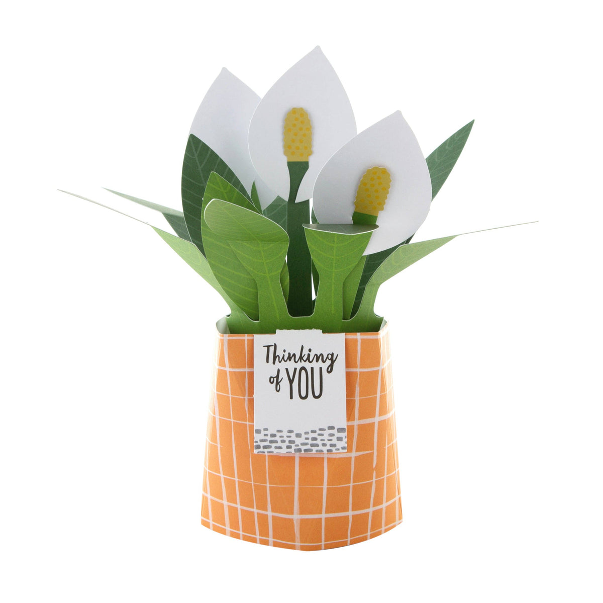 Hallmark - Pop-up Plant Card - Peace Lily Design