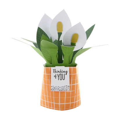 Hallmark - Pop-up Plant Card - Peace Lily Design