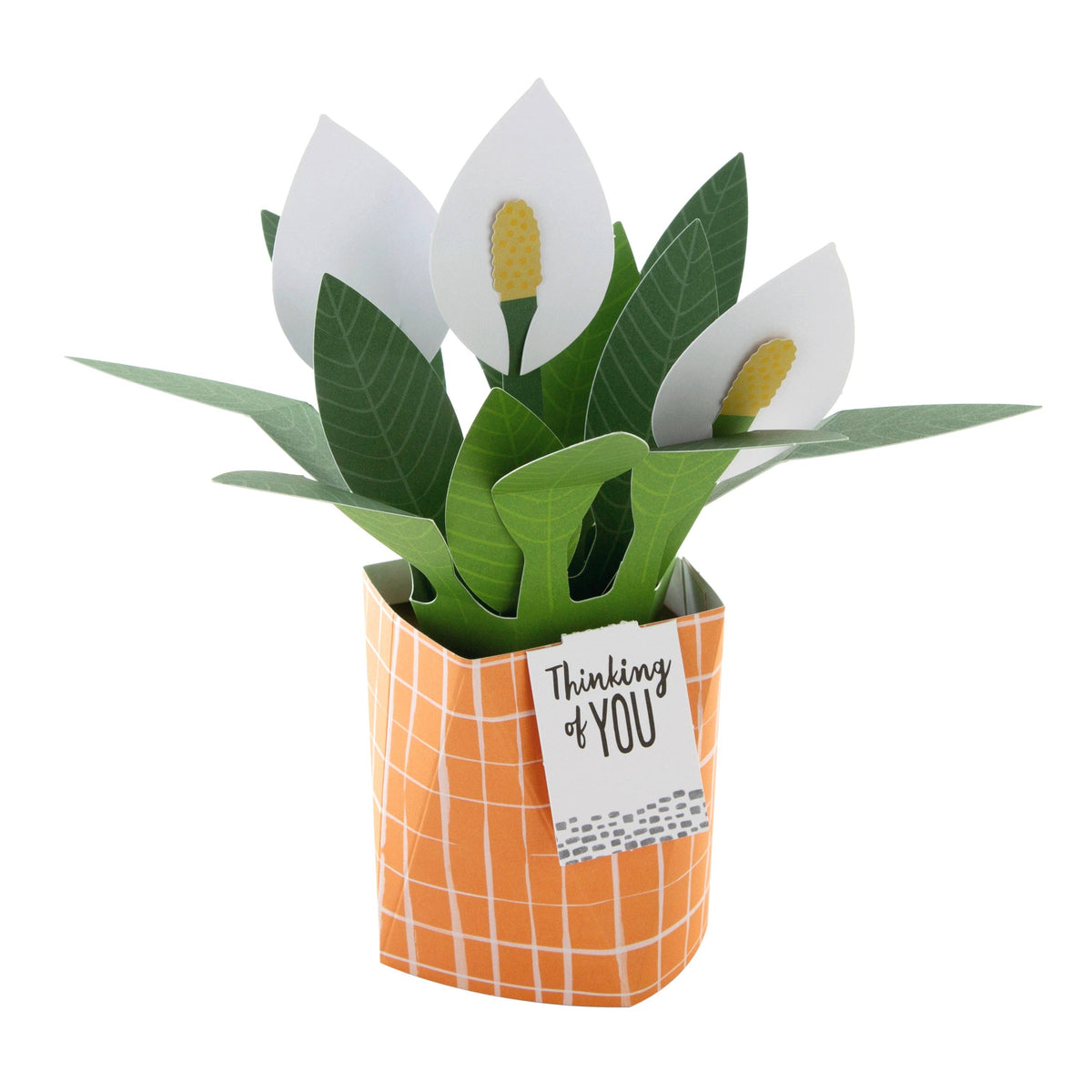 Hallmark - Pop-up Plant Card - Peace Lily Design