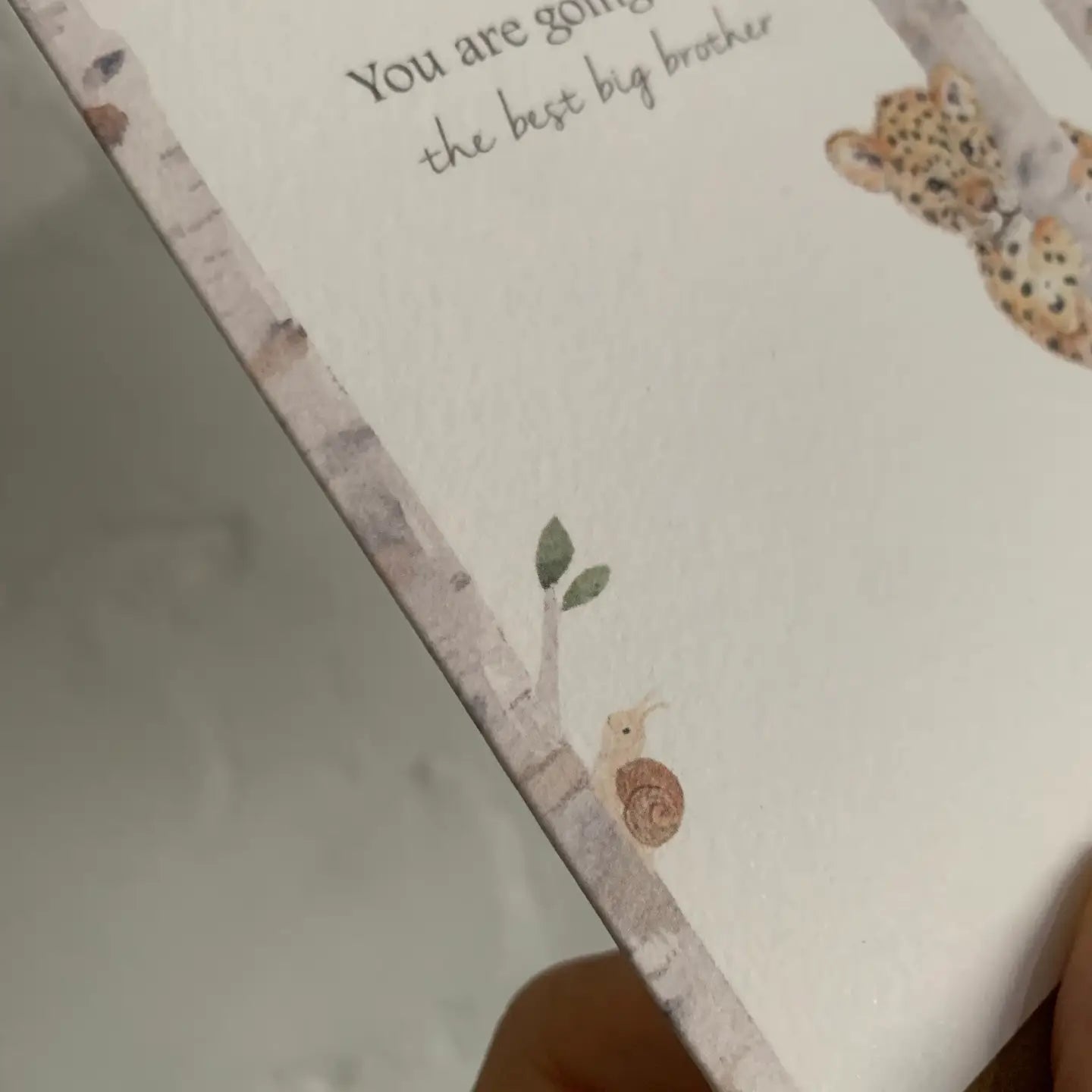 Best Big Brother Card | Relations Cards | Sibling Cards