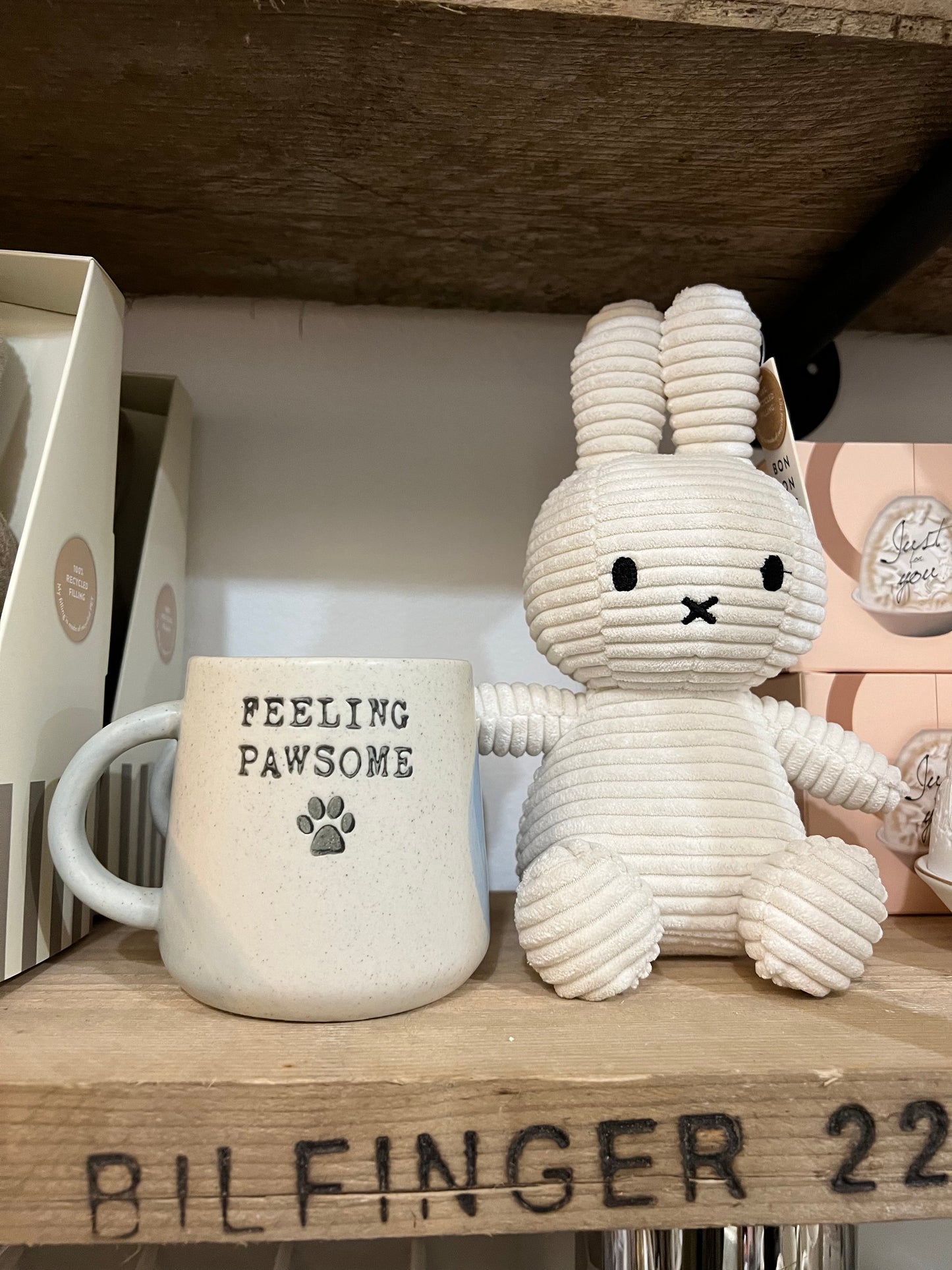 Feeling Pawsome mug