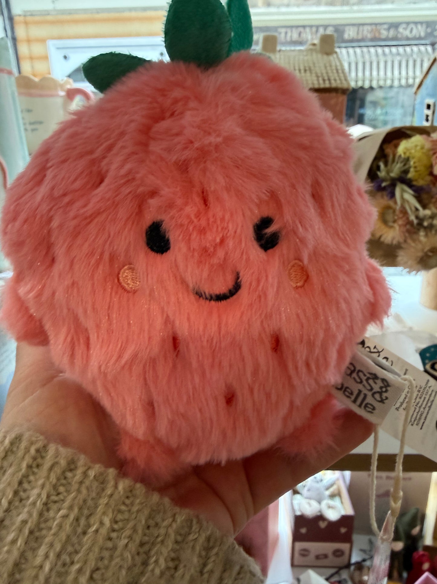 Sass and Belle - Strawberry Soft Toy