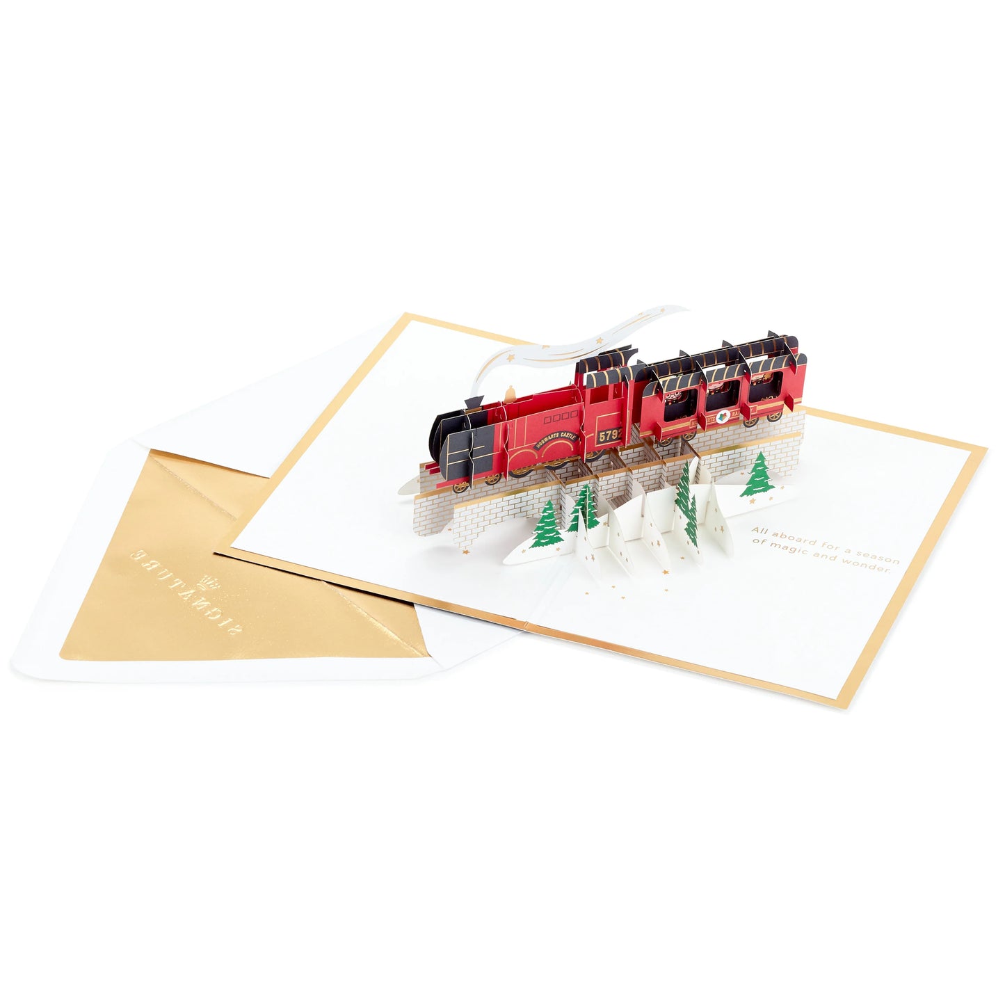 Christmas Paper Wonder Card - 3D Harry Potter™ Hogwarts Express Train Design