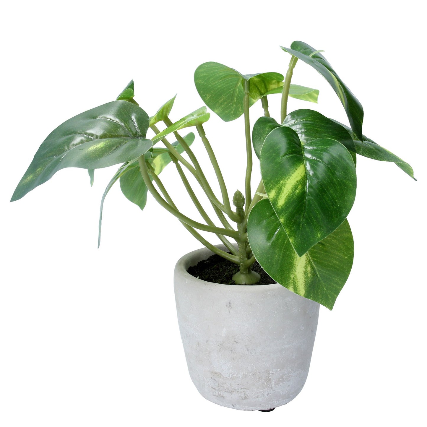 Potted Plant 21cm - Faux Philodendron