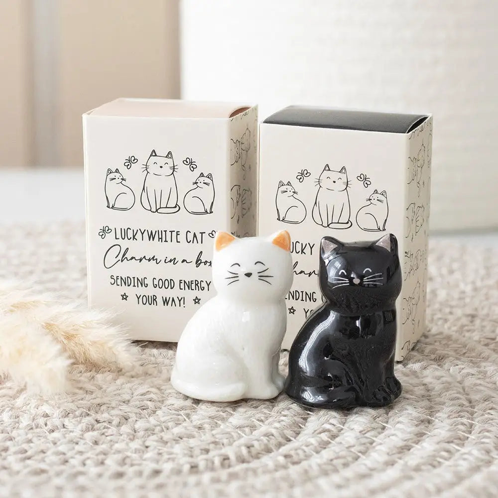 Lucky white or black cat gift box.
