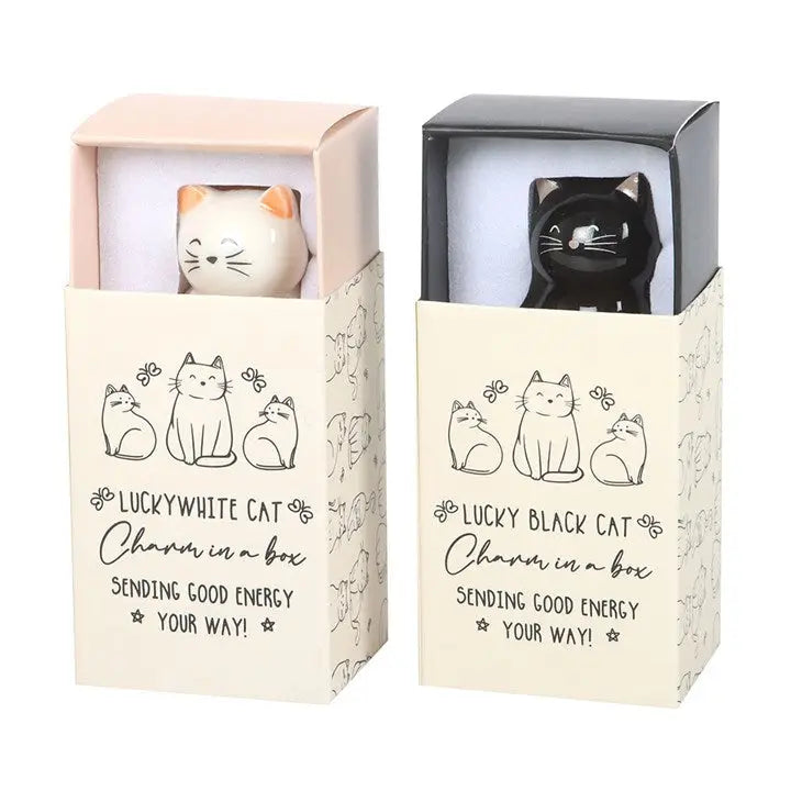 Lucky white or black cat gift box.