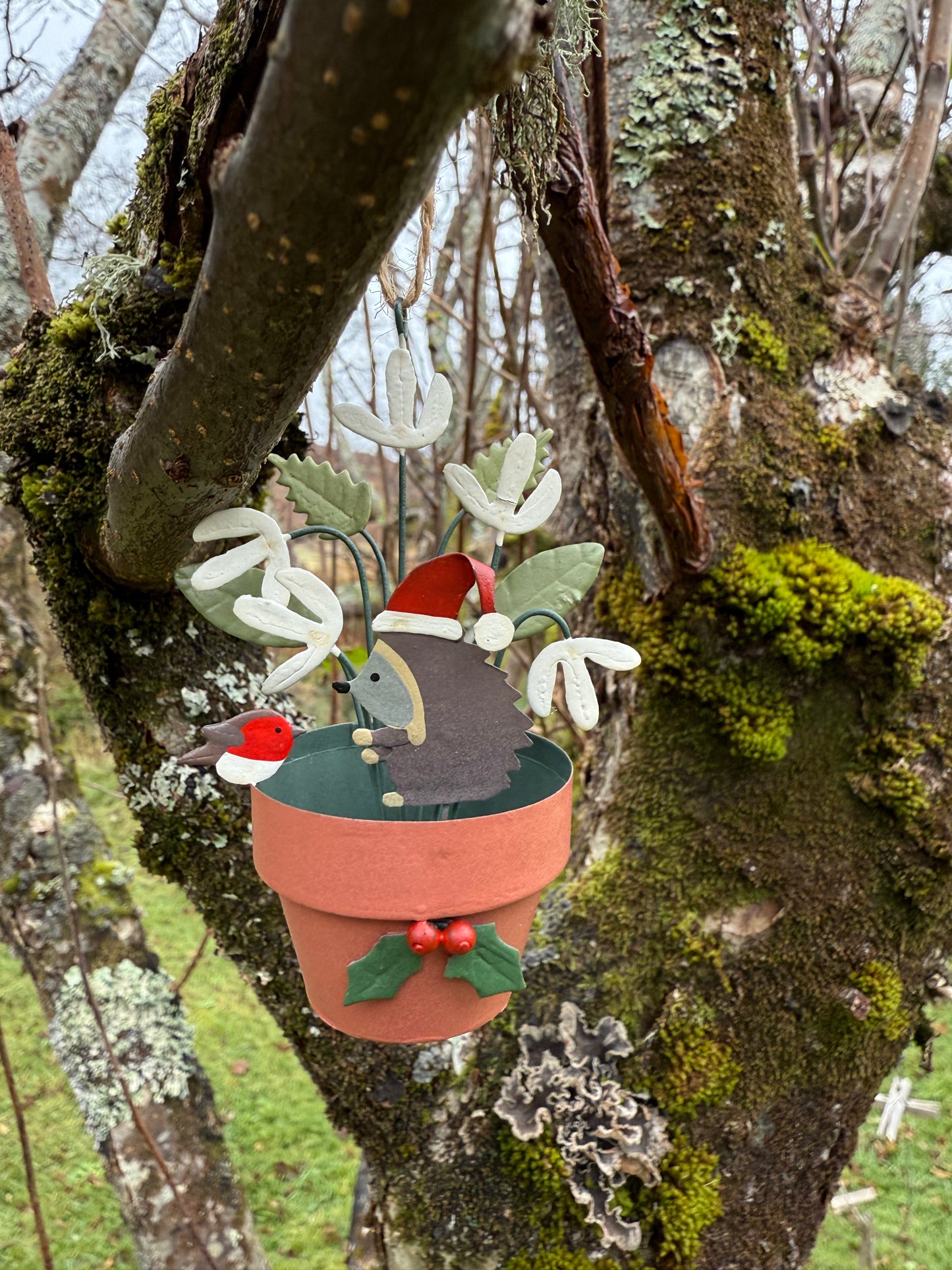 Floral Plant Pot with Hedgehog Ornament