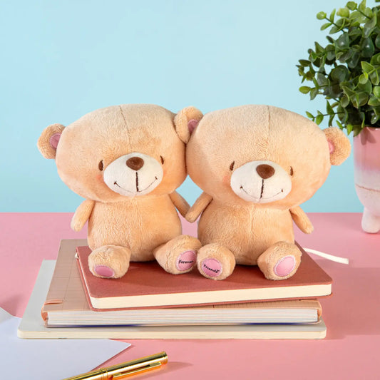 Forever friends “better together” plushie