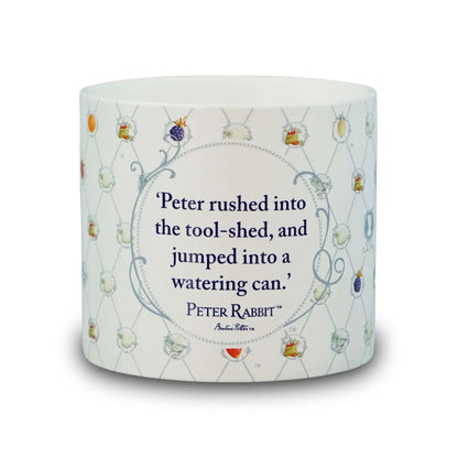 Ceramic Pot (10cm) - Peter Rabbit
