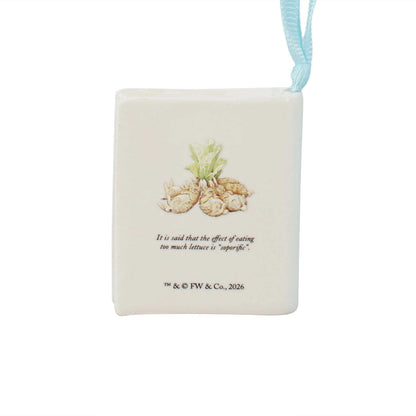 Book Hanging Decoration - the Flopsy Bunnies