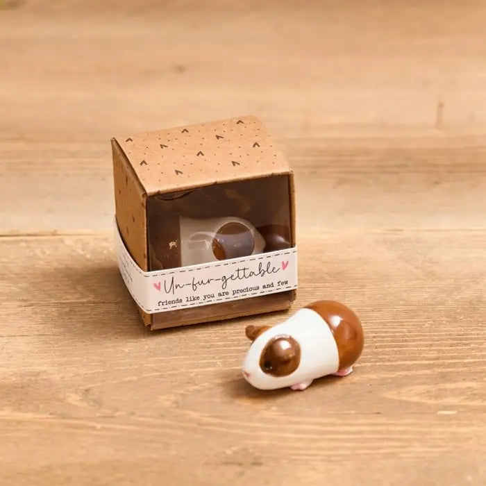 Tiny World Guinea Pig Resin Keepsake Ornament with Gift Box