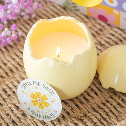 Wild Strawberry & Poppy Egg Shaped Candle  Or Citrus & Ginger Egg Shaped Candle