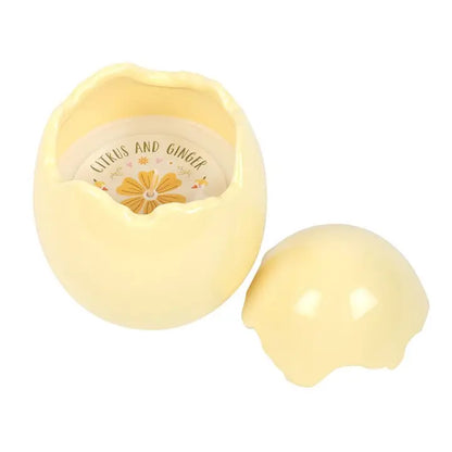 Wild Strawberry & Poppy Egg Shaped Candle  Or Citrus & Ginger Egg Shaped Candle